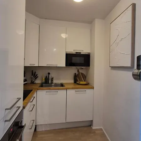 Very Flat With Big Courtyard Balcony * Oslo